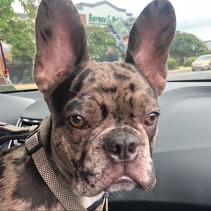 Meet your Posher, Raquel